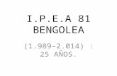 Secundario I.P.E.A 81 Bengolea