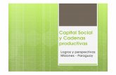 Capital Social y Cadenas Productivas