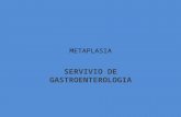metaplasia ( gastro)