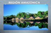 Región Amazónica y Oriental