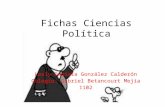 Fichas ciencias politicas