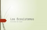 Los Ecosistemas Ecuatorianos