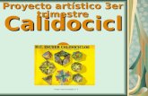 Calidociclo (Dibujo Técnico, 1º Bachillerato), Pelayo Carril