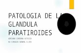 Patologia de la glandula paratiroides