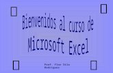 Excel básico introducción versión 2010