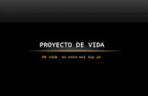 Proyectodevida 131030192239-phpapp02