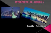 Interprete de los sueños ( Camila malebran 2b)