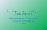 Conociendo a Piaget