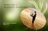 Producción y desarrollo sustentable Danna Villa 2°B