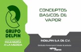 Grupo Delpin Vapor 01 Conceptos Básicos