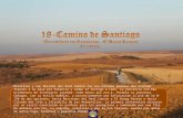 18 - Camino de Santiago (Terradillo de los Templarios / El Burgo Ranero) 30.100 km..