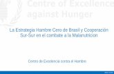 8. Brasil: Experiencia Fome Zero y la cooperación sur-sur