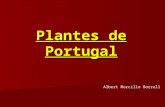 Plantes De Portugal de Albert Morcillo