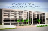 Enlace Ciudadano Nro. 278 - Complejo Judicial Valdivia