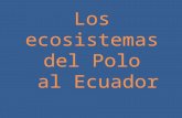 Los ecosistemas del polo al ecuador -Maya y Jorge