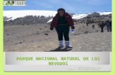 COOTAXIM PORTAL TURÍSTICO DEL EJE CAFETERO DESTINO Parque nacional natural de los nevados desde bogota COLOMBIA, COMPLEMENTO EN EL SITIO YOUTUBE