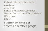 Rolando google 2