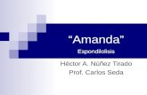 Amanda espondilolisis (pp tshare)