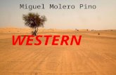 Genero western miguel molero pino