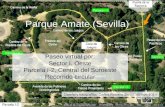 Parque Amate (Sevilla) itinerario botánico por la parcela I-2 (Central del Suroeste)