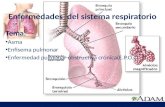 Enfermedades  del sistema respiratorio