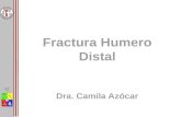 Fractura Húmero Distal