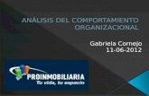 Comportamiento organizacional Gabriela Cornejo