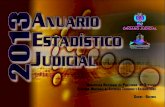 2014 Anuario Estadistico Judicial 2013