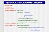 Quimica Carbohidratos