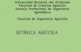 Botánica Agrícola , Raíz 2014