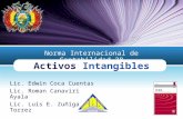 NIC 38 - Activos Intangibles