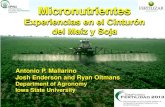 Experiencias en Micronutrientes