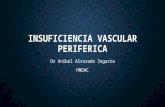 t18.3 - Insuficiencia Vascular Periferica