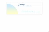 Características de Java.pdf