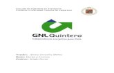 Trabajo Ductos - GNL Quintero - Alvaro Gonzalez Muñoz