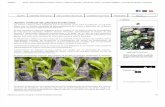 Jardin vertical de plantas hortícolas.pdf