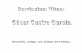 CV CESAR CASTRO GARCIA