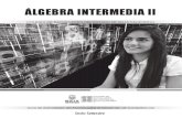 Álgebra Intermedia II.pdf