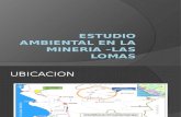 Estudio Ambiental en La Mineria Las Lomas