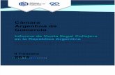 _Informe de Venta Ilegal Callejera en La República Argentina. CAC_, Ago2015