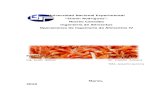Proyecto de Ope IV SECADO de bandeja de zanahoria