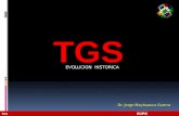 Evolucion historia de la TGS parte II