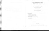 Microeconomia Enfoque de Negocios - Ana Luisa Graue Russek