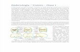 Embriología Clase I