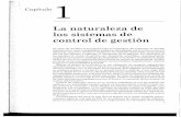 Capítulo 1 - Sistema Control Gestión.pdf