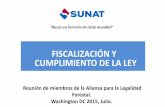 Manuel Sanchez - SUNAT Español_0.pdf