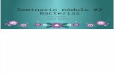 Seminario Bacterias