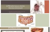 6. Obstrucción Intestinal (Invaginación, Cuerpos Extraños, Neoplasias y Volvulos) (1)