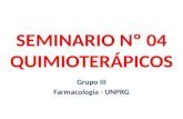 Seminario N 04 Quimioterápicos (1)