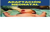 Adapt Acion Neonatal